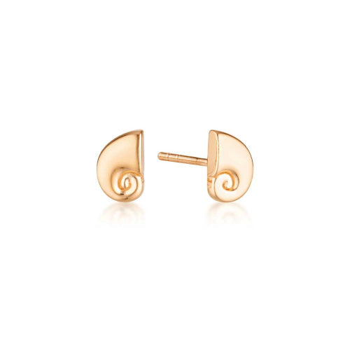 Nautilus stud earrings