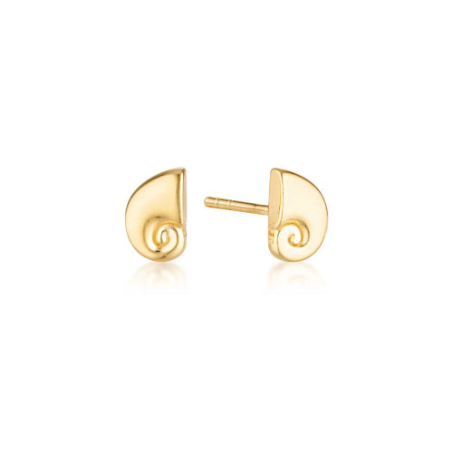 Nautilus stud earrings