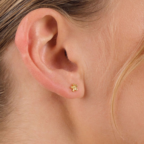 Wild Flower Studs