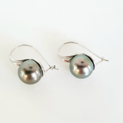 9ct white gold Tahitian Pearl earrings.