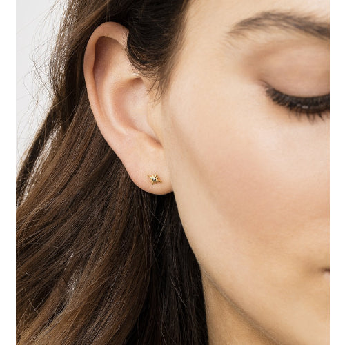 Pointed Star earrings