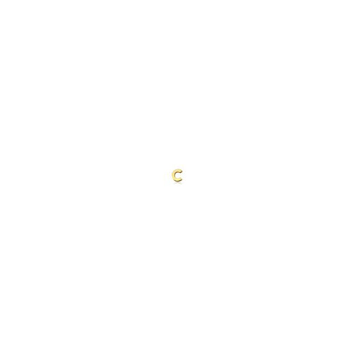 C Micro Initial Stud