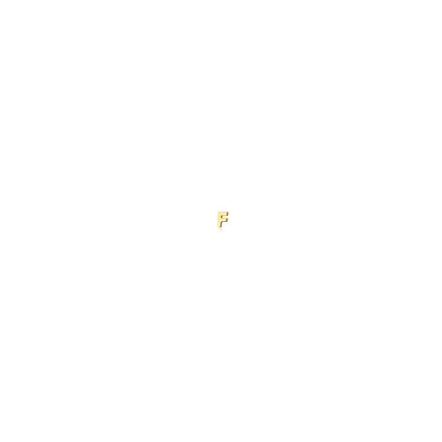 F Micro Initial Stud