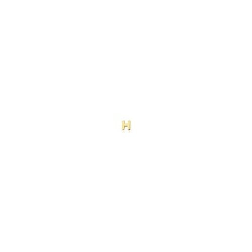 H Micro Initial Stud