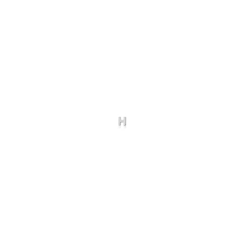 H Micro Initial Stud