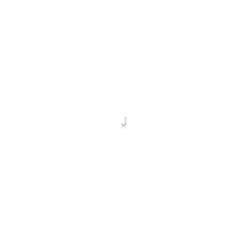 Micro J earring