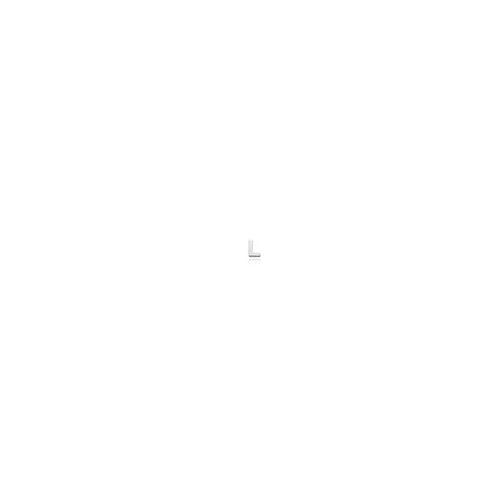 L Micro Initial