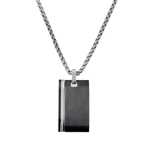 Stainless steel dog tag and chain