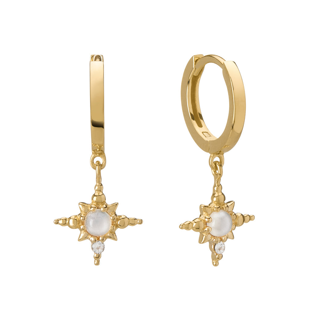 Hanging Huggie Earring