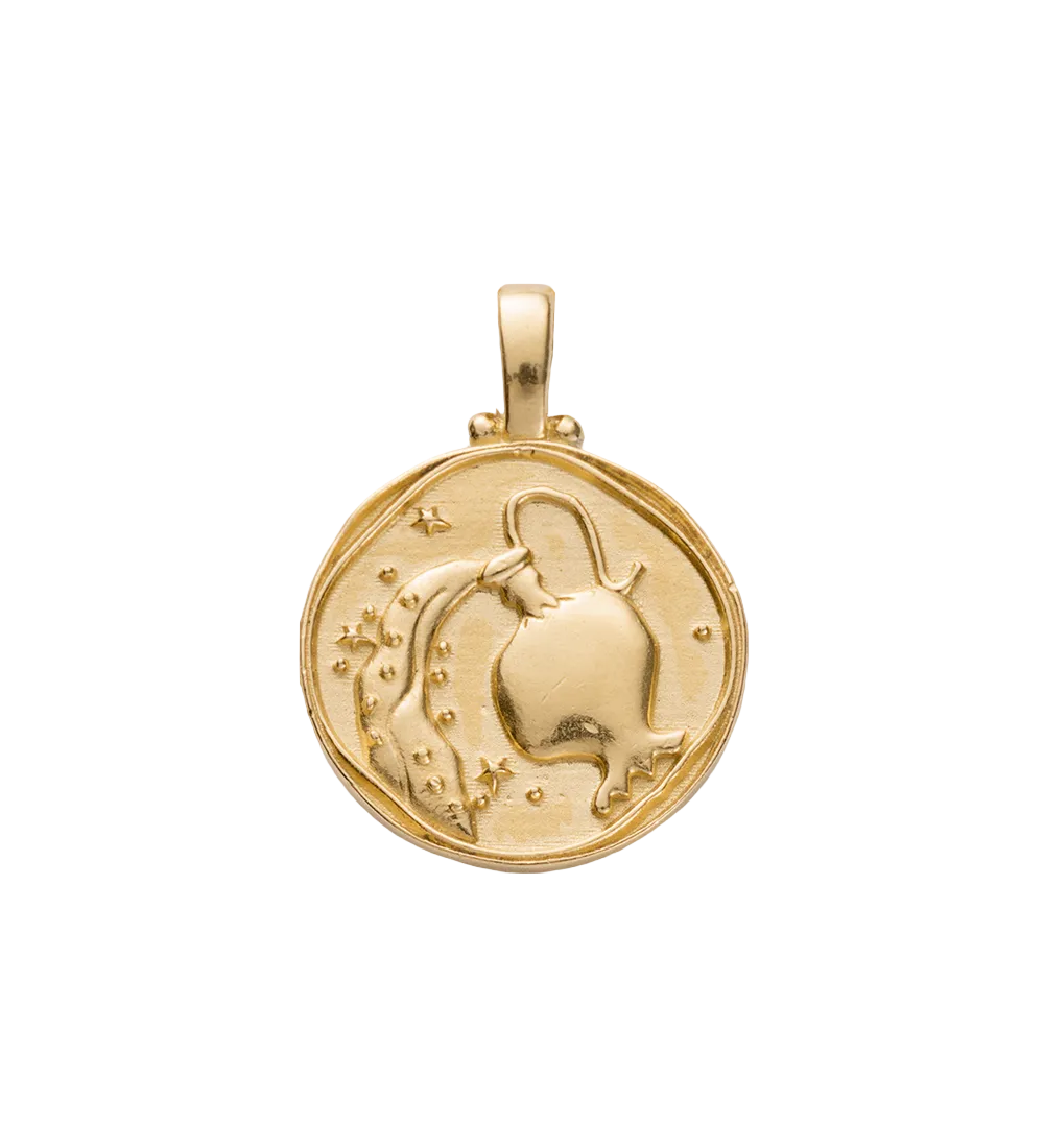 Zodiac Necklace By Kirstin Ash