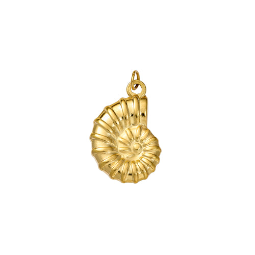 Shell charm