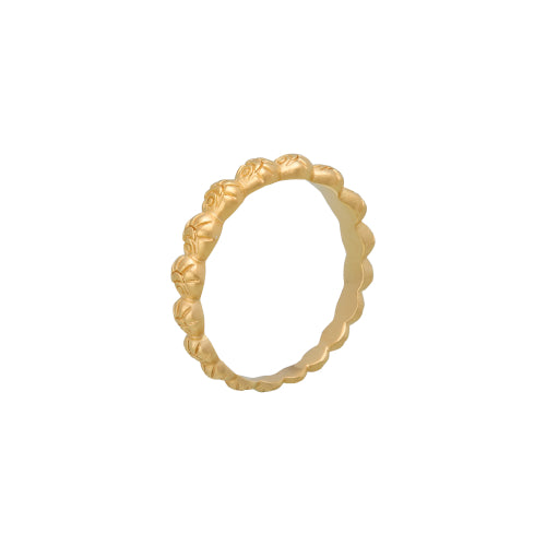 Soul Protector Ring