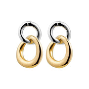 double circle earrings