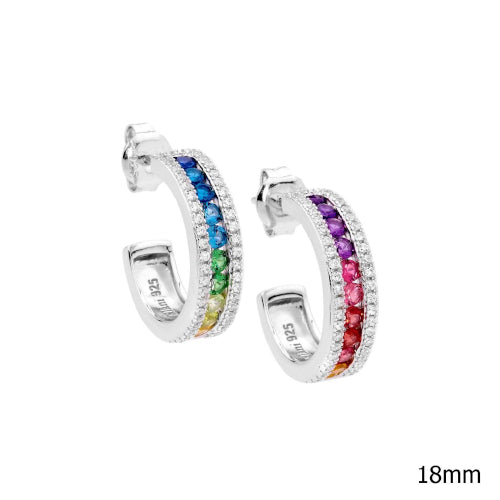 Sterling Silver Multi CZ earrings.