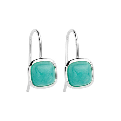 Amazonite hook earrings