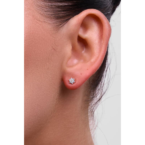 Petal silver earrings