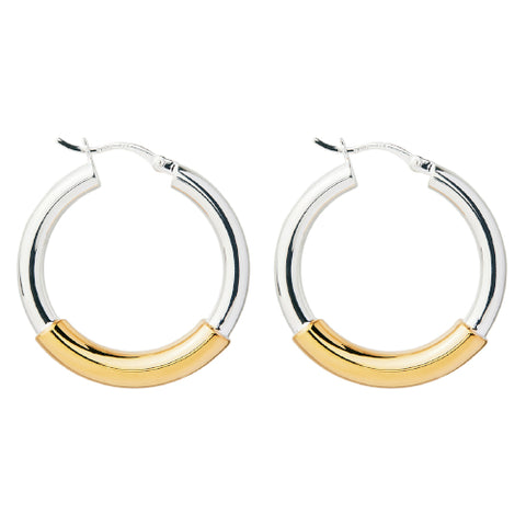 Two tone hoope earrings