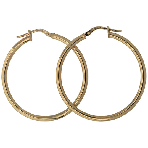 9ct gold bonded earrings