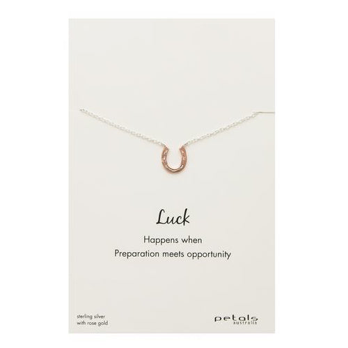 Horseshoe necklace