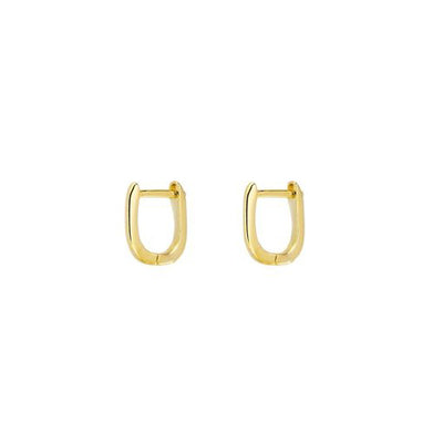 Oblong hoop earrings