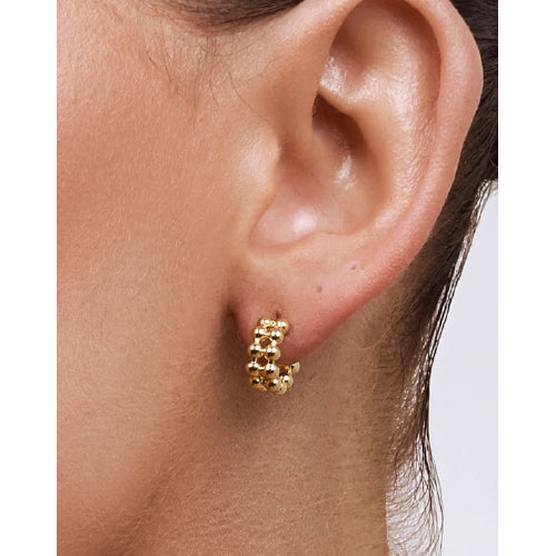 Holly Gold Earring