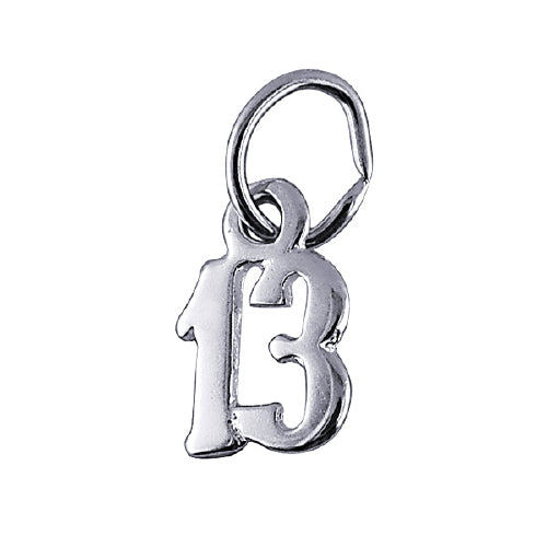 13 silver charm