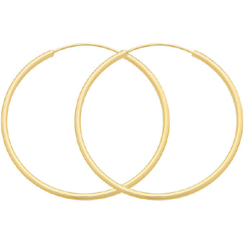 Hinged hoop earrings