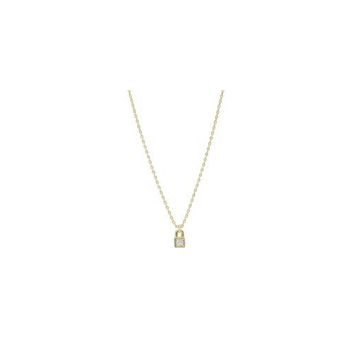 Penny Gold Locket Necklace