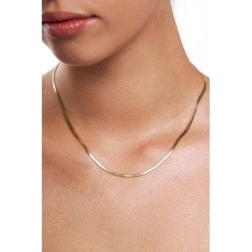 Frankie Gold Necklace