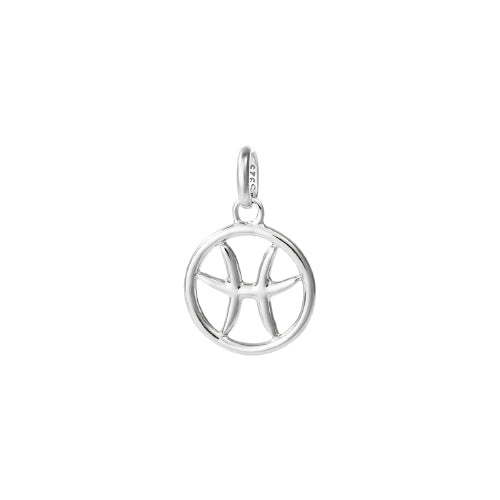 Pisces Zodiac Charm