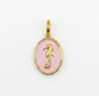 Seahorse Charm