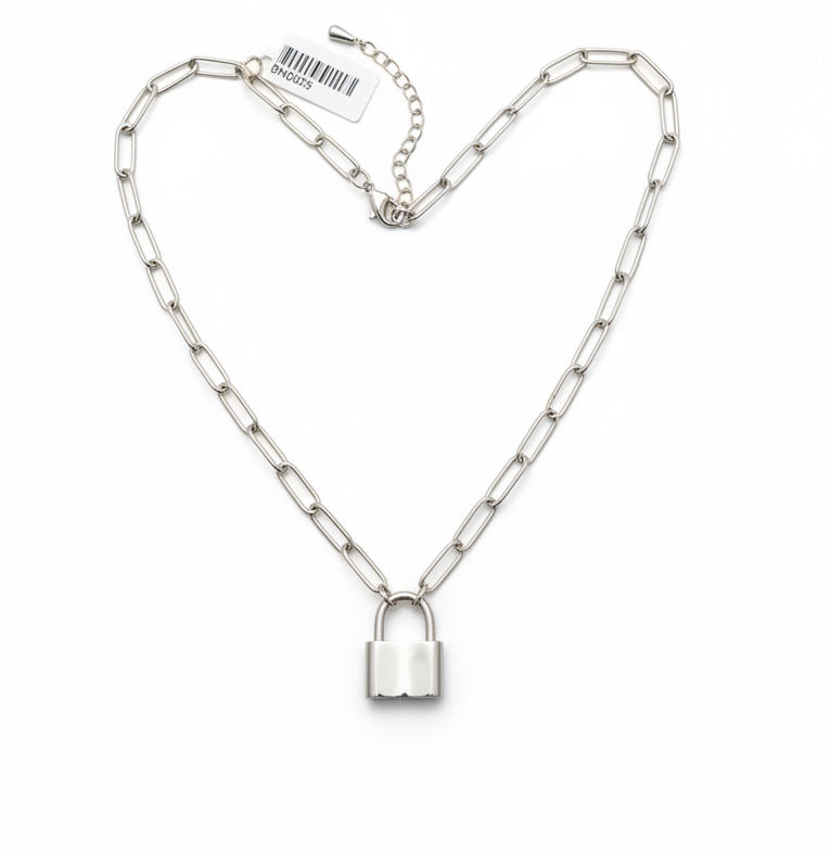 Sterling silver long link necklace