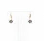 9ct Cubic Zirconia earrings
