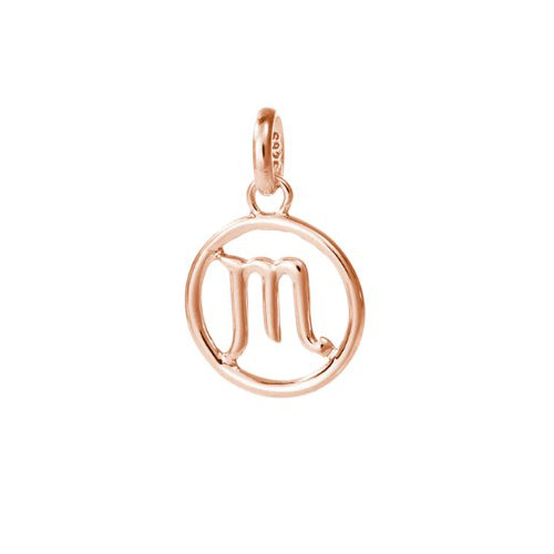 Scorpio Zodiac Charm