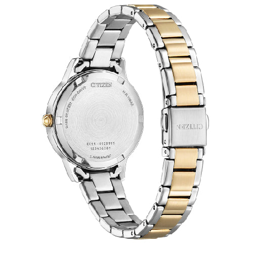 Ladies Eco Drive watch