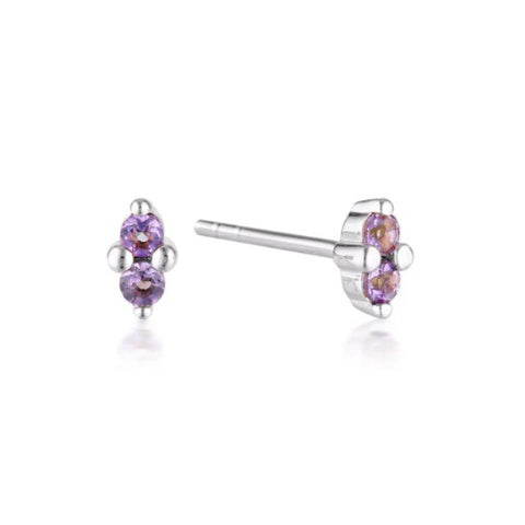 February birthstone studs