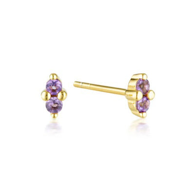 February birthstone studs