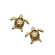 Turtle studs