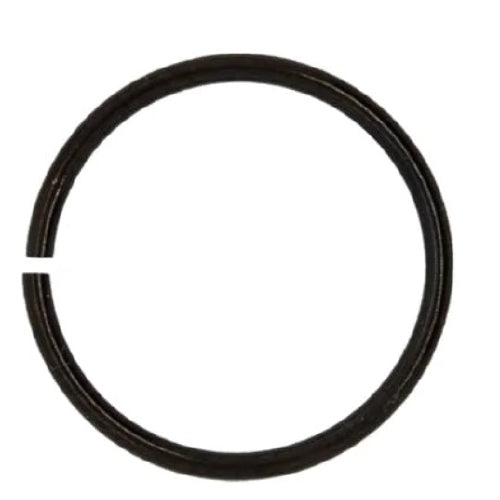 nose ring