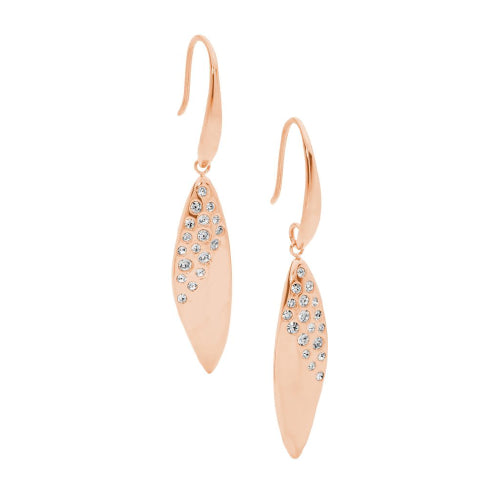 Steel Drop Crystal Earrings