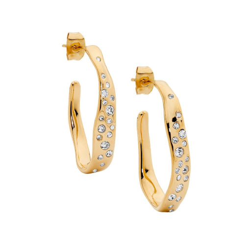 Gold crystal earrings