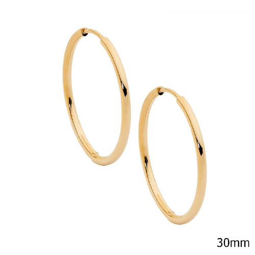 Steel Hoop Earrings