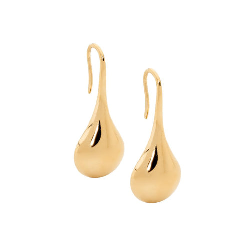 Gold Plated Steel Hook Earrings