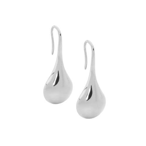 Steel Hook Earrings