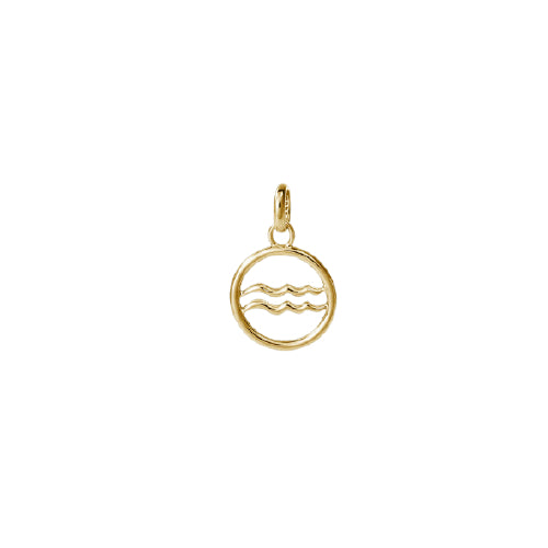 Aquarius Zodiac Charm