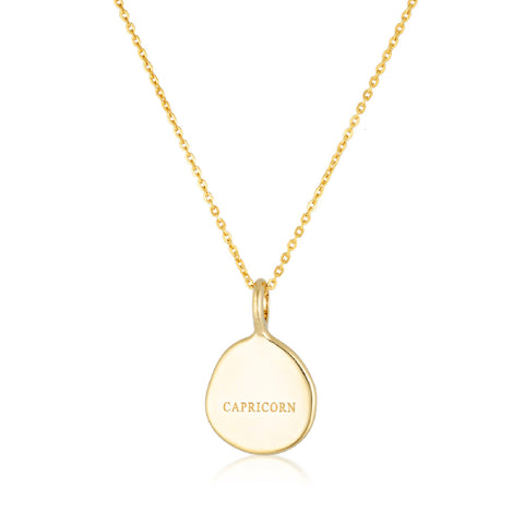 Capricorn Zodiac necklace