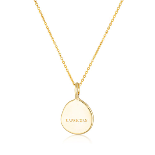 Capricorn Zodiac necklace