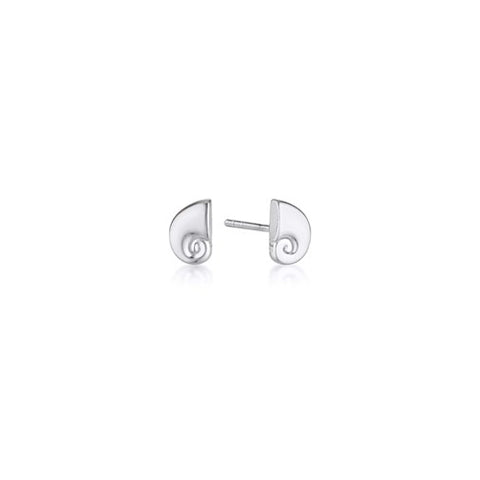 Nautilus stud earrings