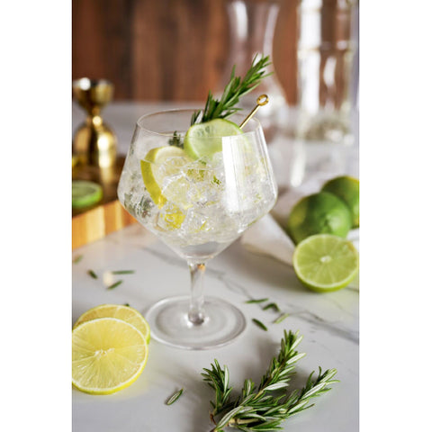 Viski angled Gin glasses