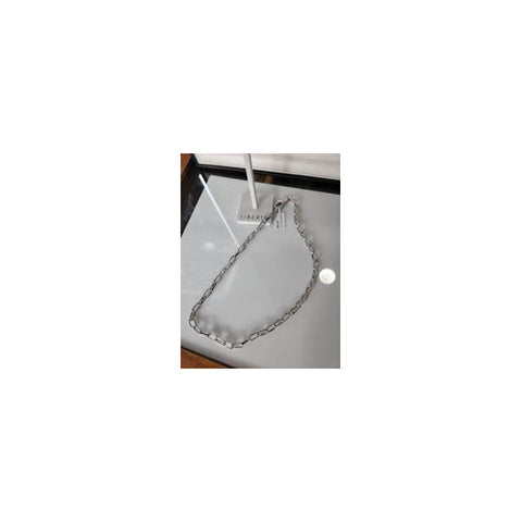 Dana Silver necklace